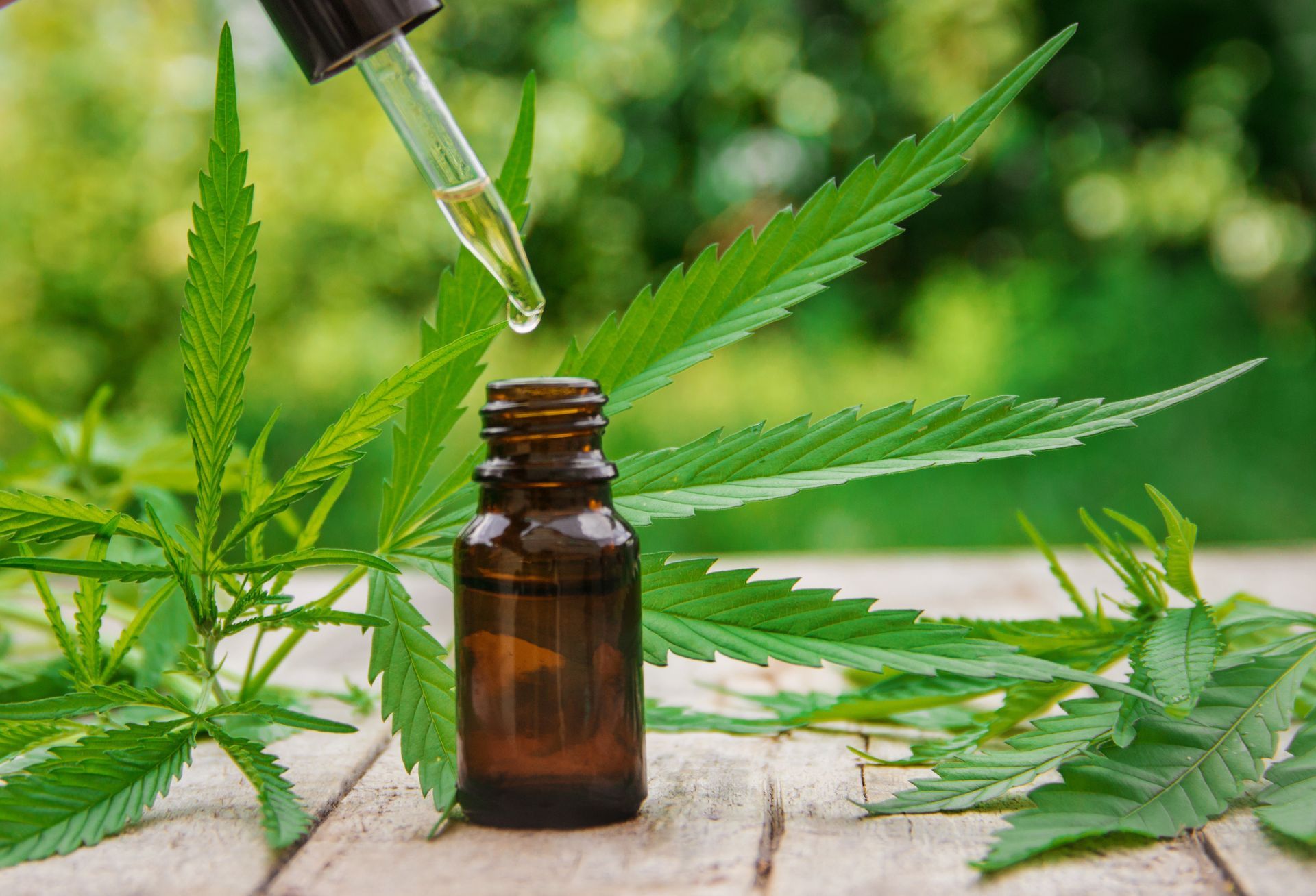 What are Cannabis Tinctures?