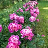 Veco ļaužu aprūpes iestāde Ziemeļvidzemē