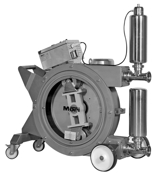 Elliptical piston pumps type V