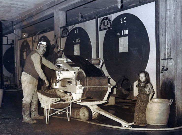 production of machinery for oenology