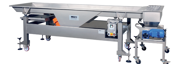 TAV Grape sorting tables with vibration feed