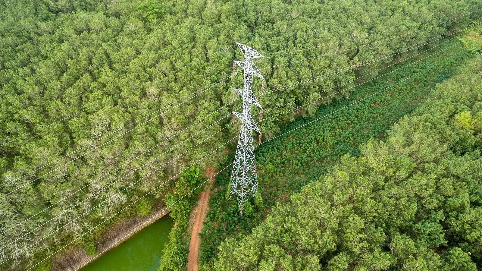 Yellow excavator digging in a grassy area near trees.