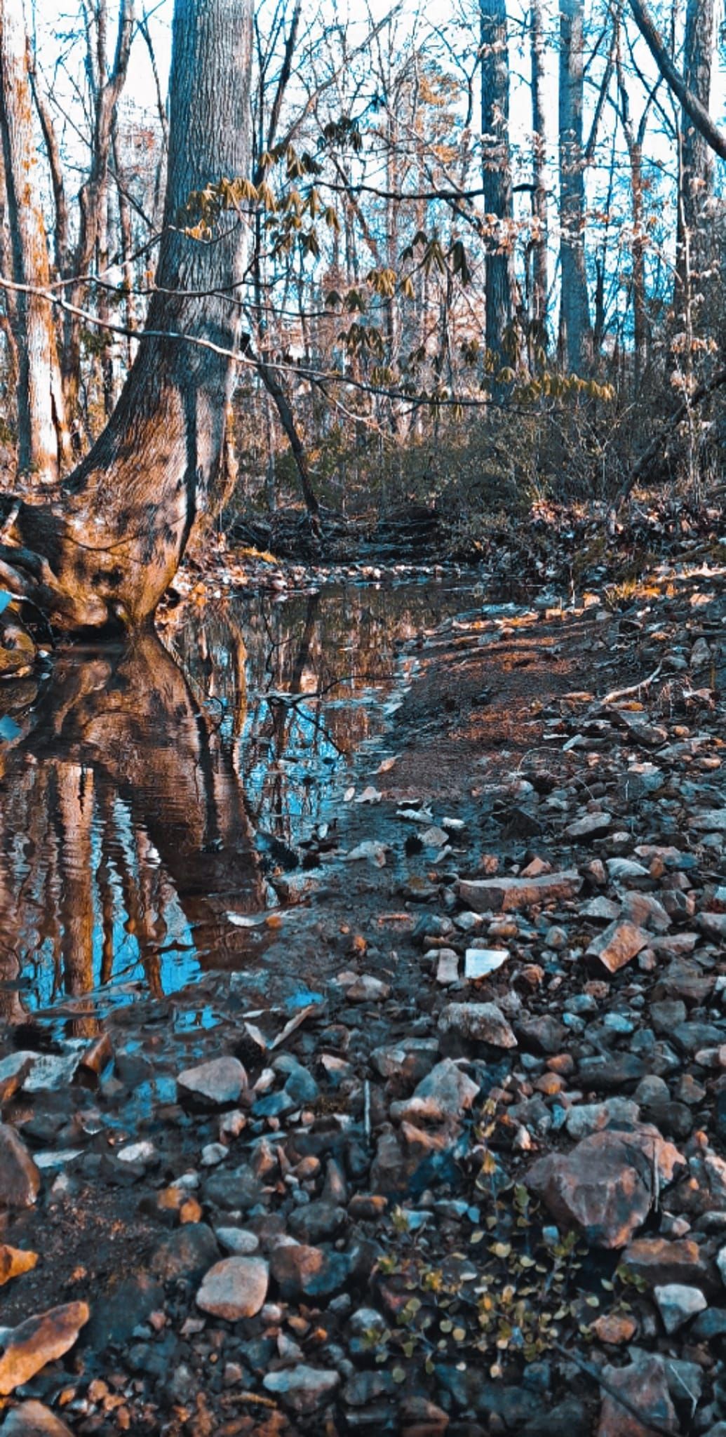 Stream in a forest, reflecting trees and sky. Rocks line the banks, autumn colors.
