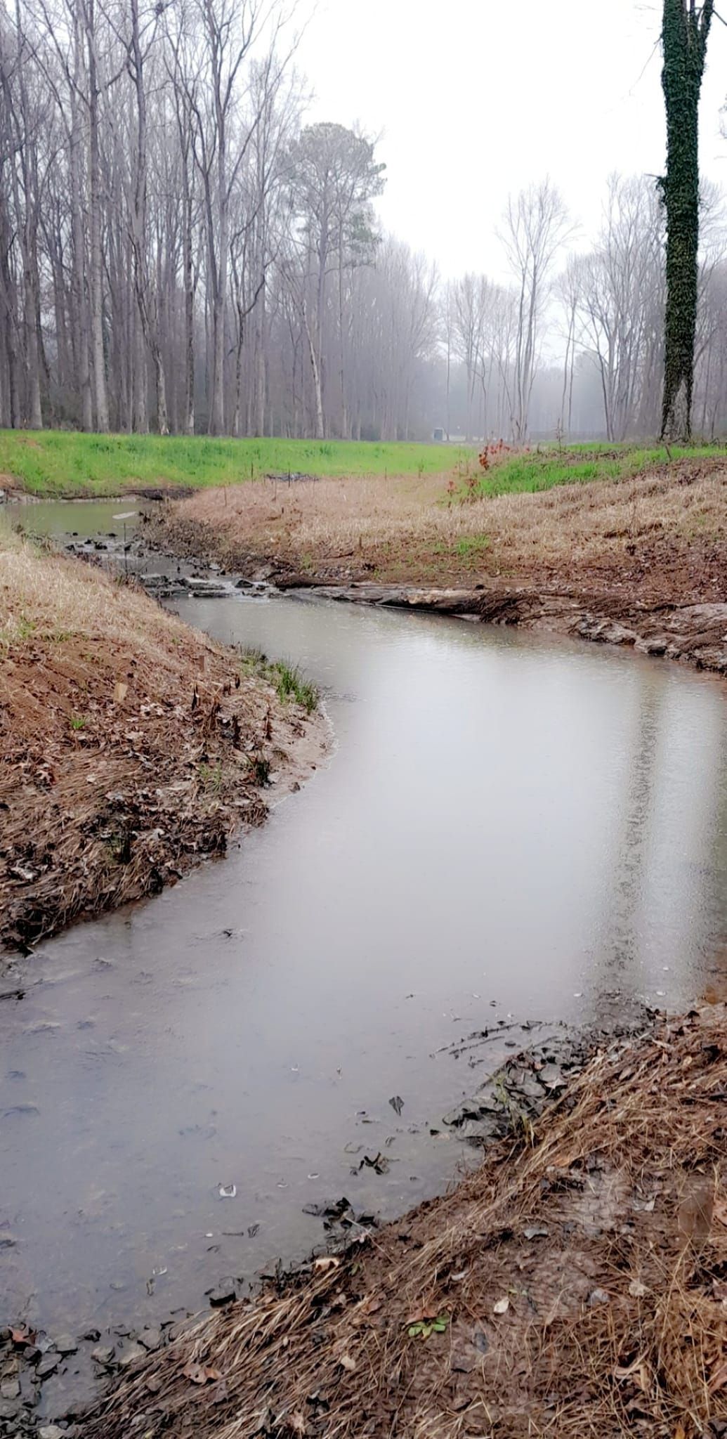 A narrow muddy stream flows through a grassy area, with trees lining the background under an overcast sky.