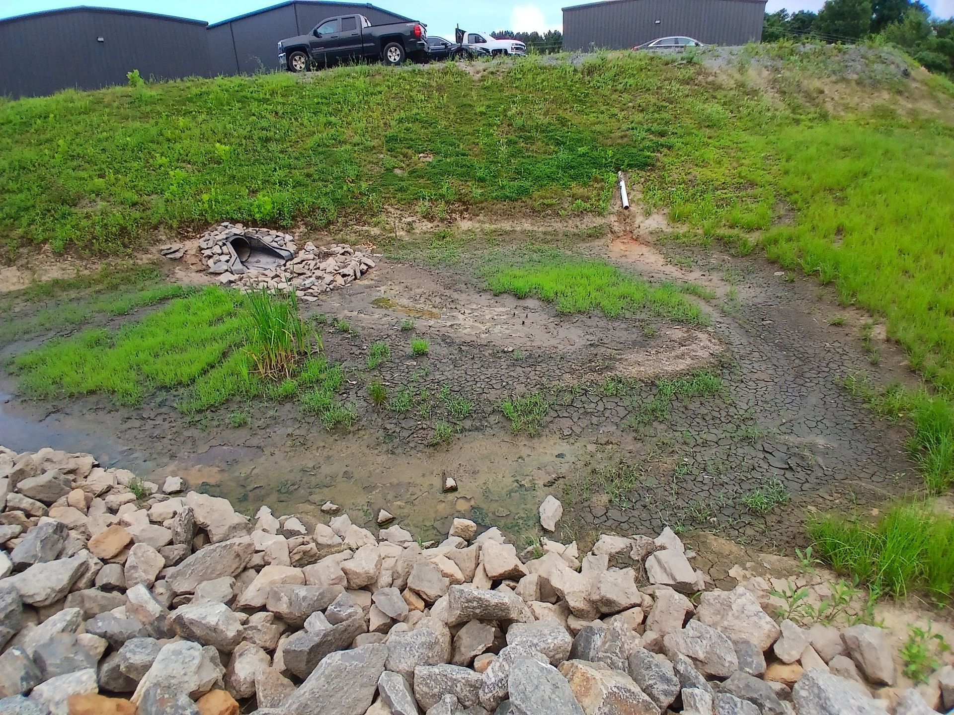 Grassy bank with rocks bordering a muddy area with some vegetation. Cars are on the top of the bank.