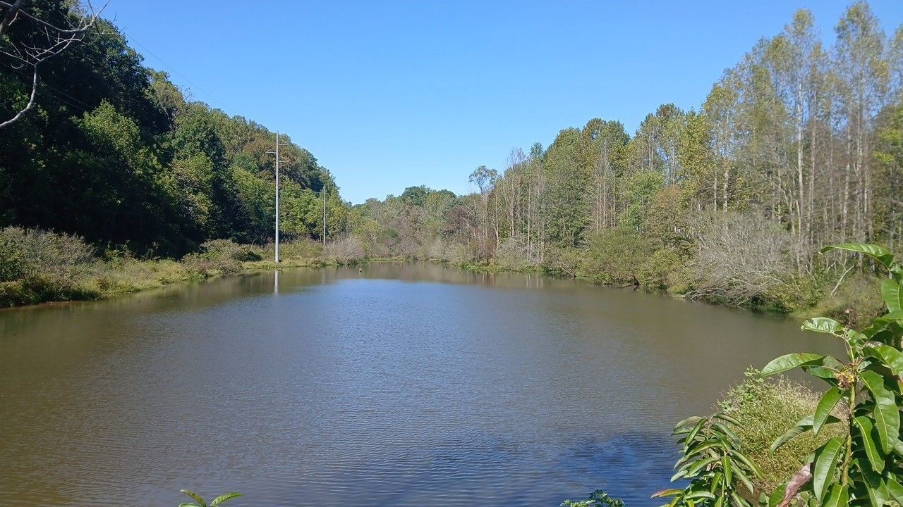 Calm lake surrounded by trees under a blue sky.
