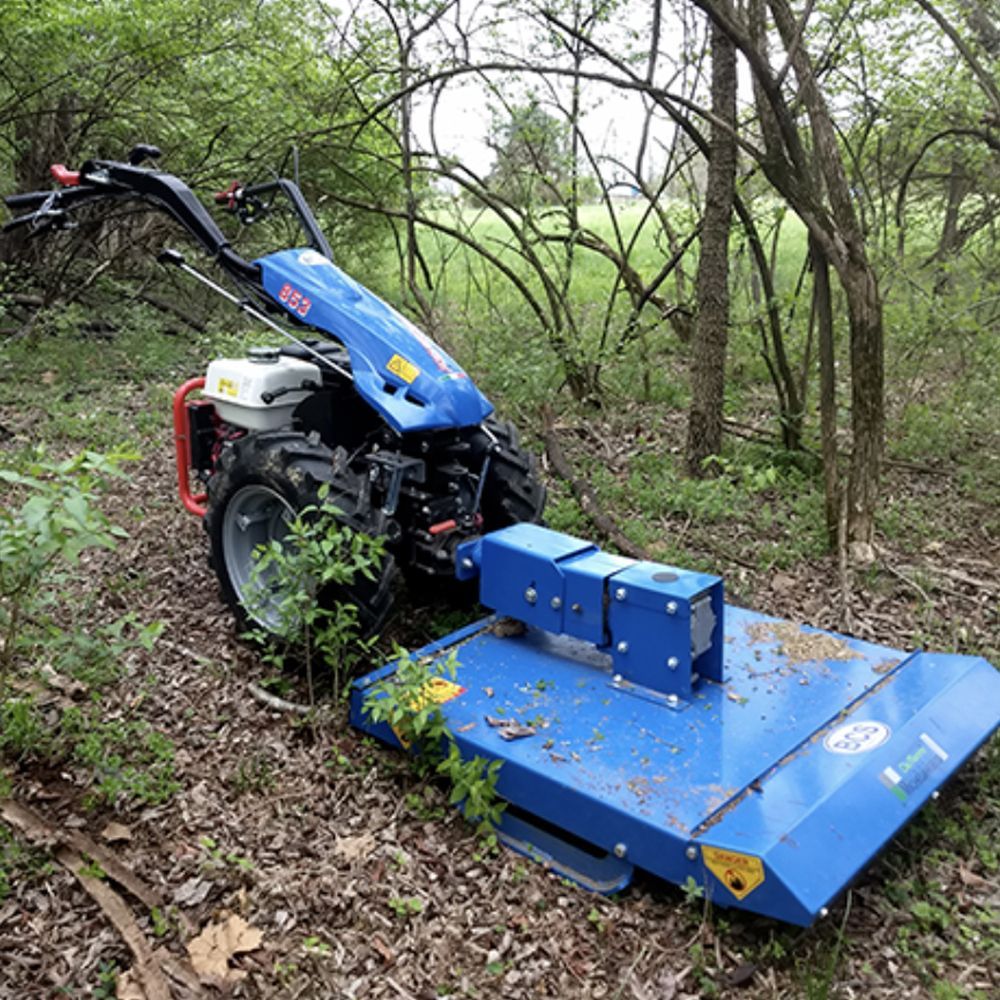 A field of tall plants with dark red stems and green foliage, buildings in the background.