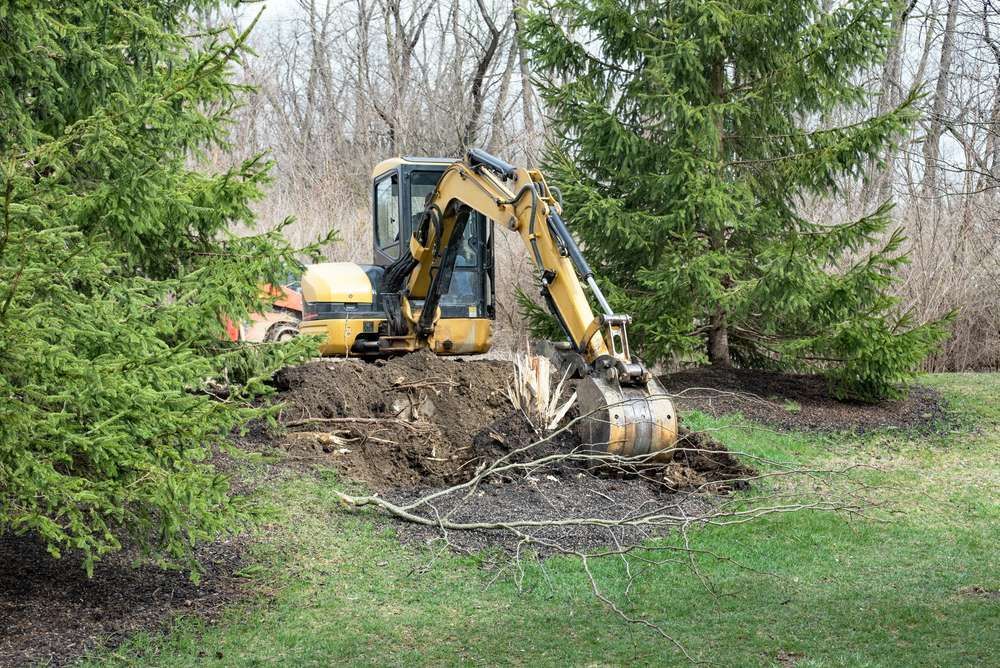 Yellow excavator digging in a grassy area near trees.