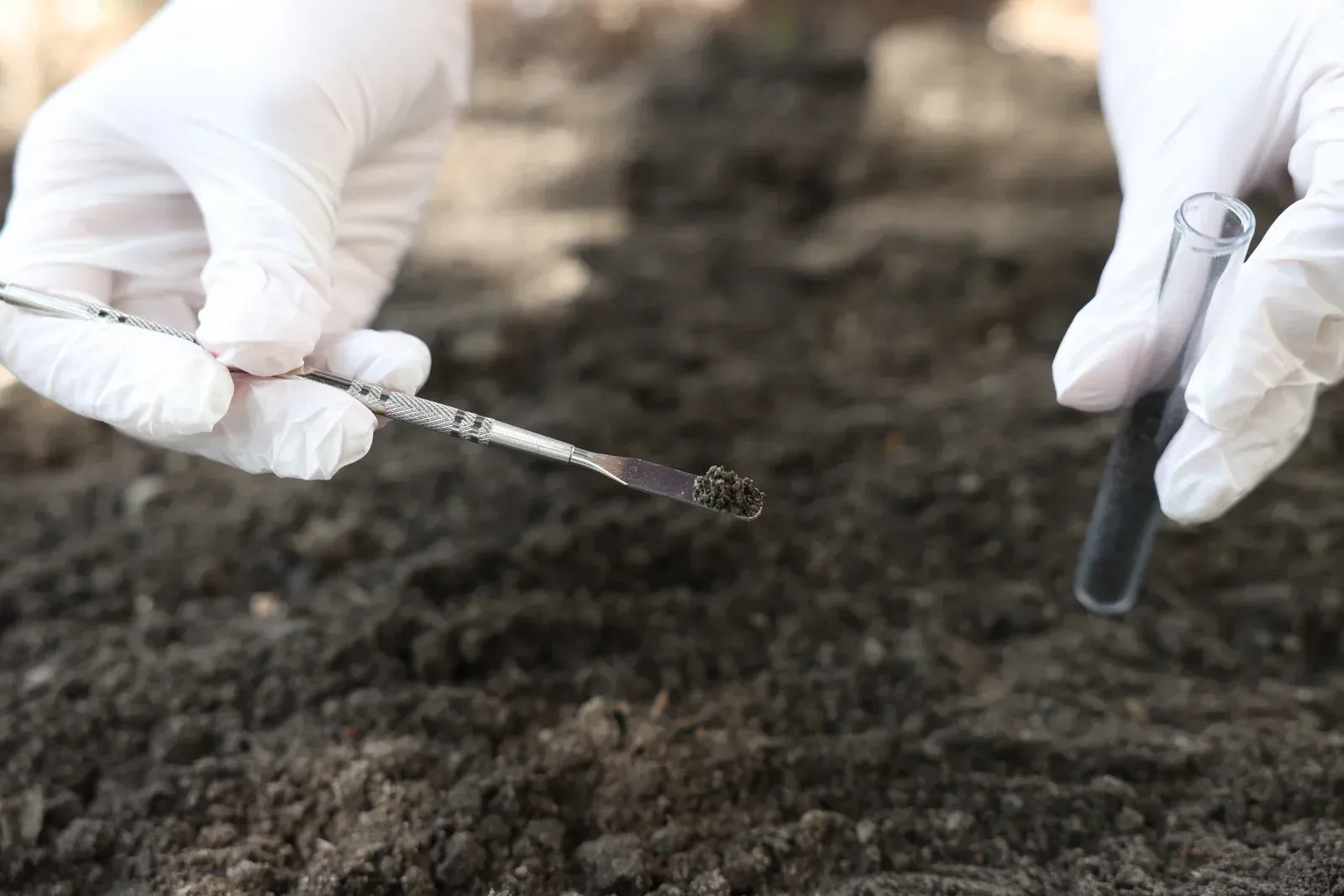 Yellow excavator digging in a grassy area near trees.
