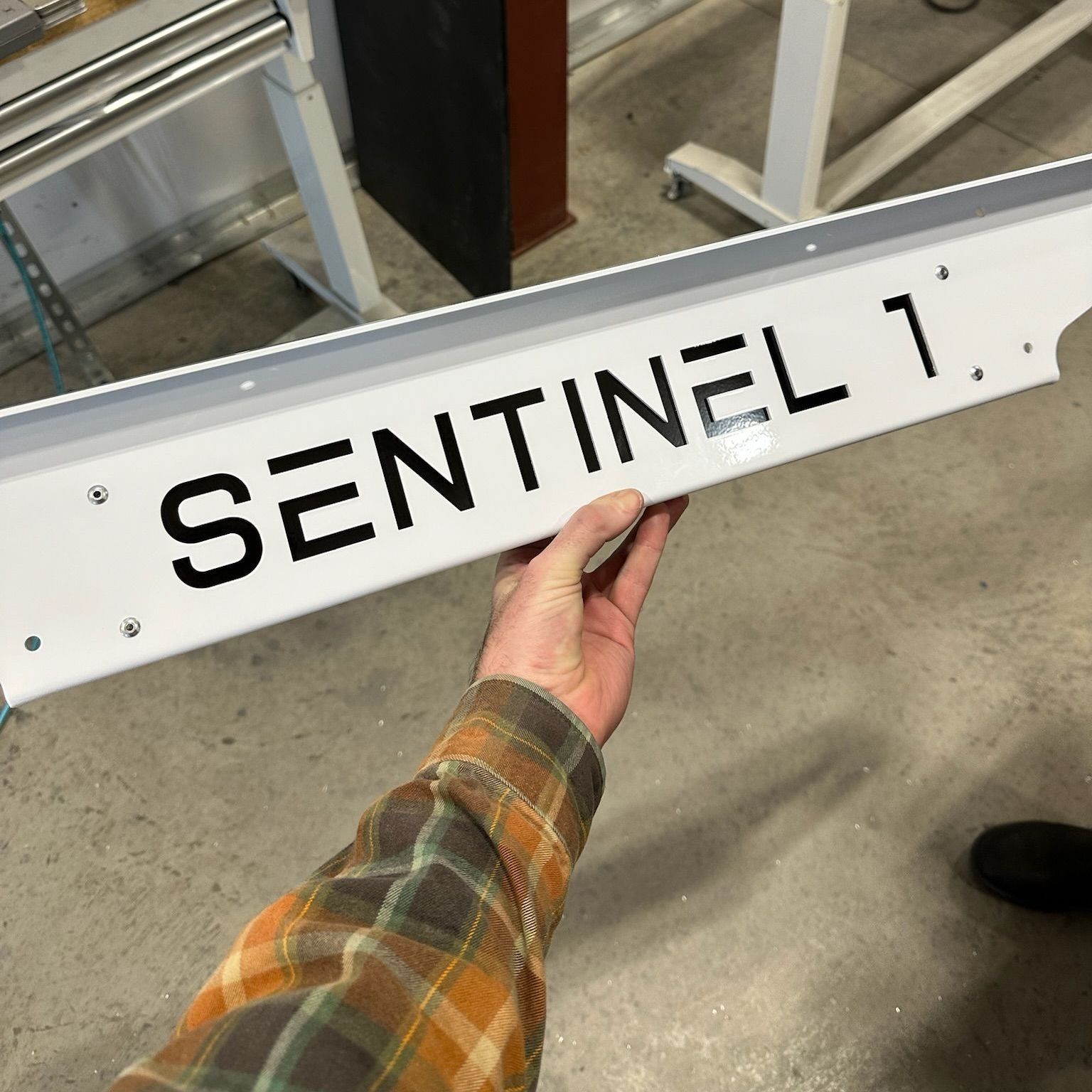 A person is holding a sign that says sentinel 1