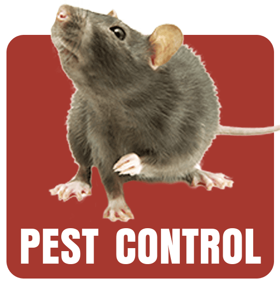 Pests, Pest Control