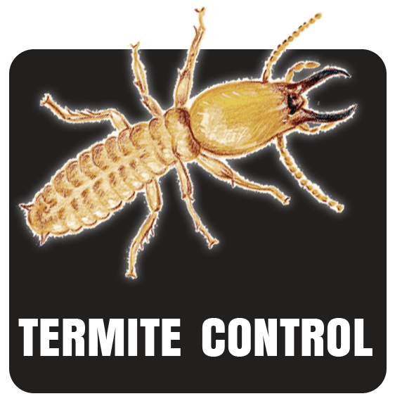 Termites, Termite Control