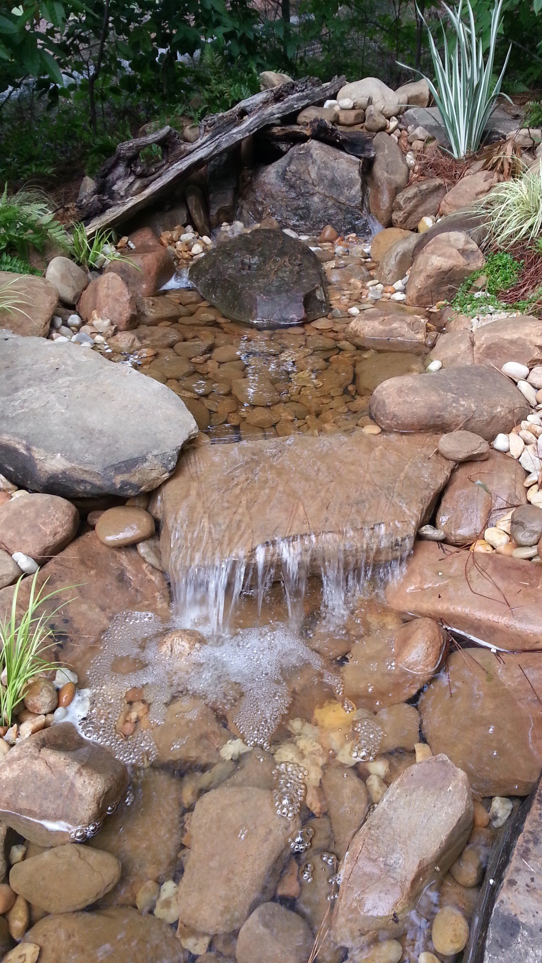 Water Features Medium