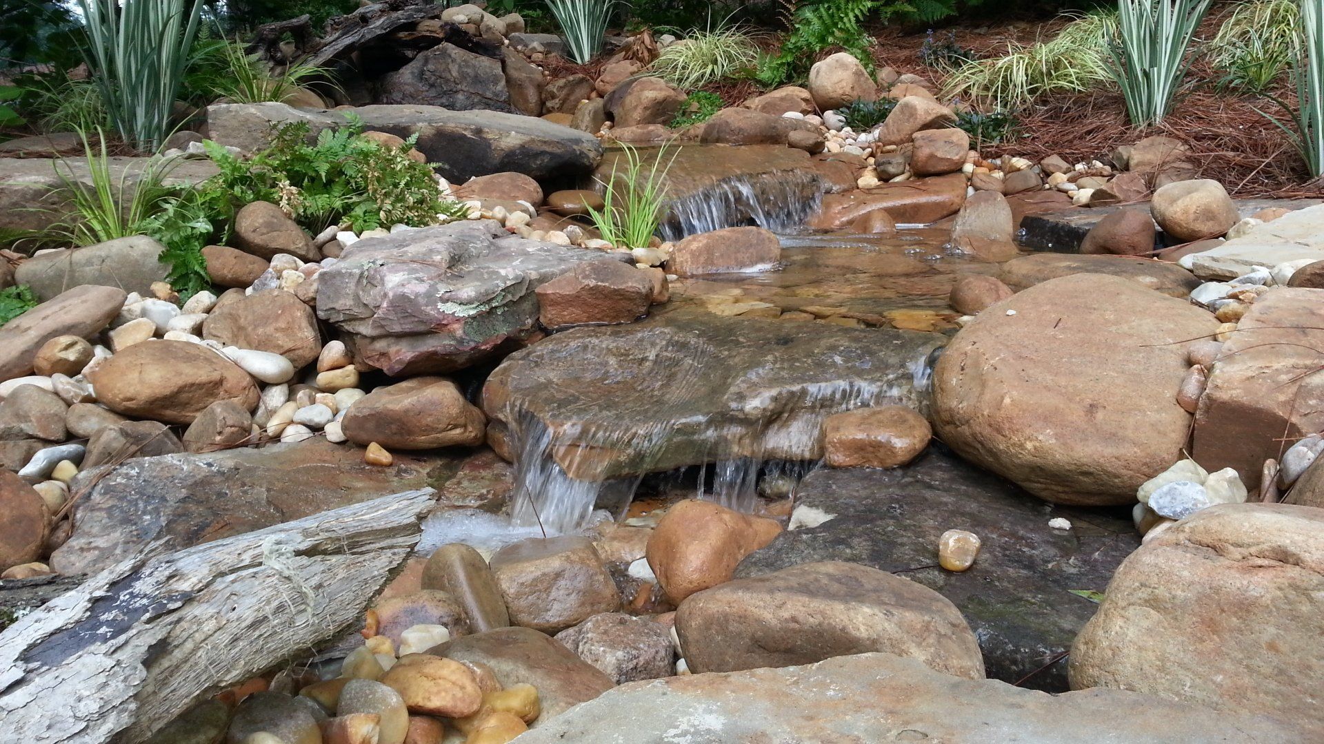Water Features Medium