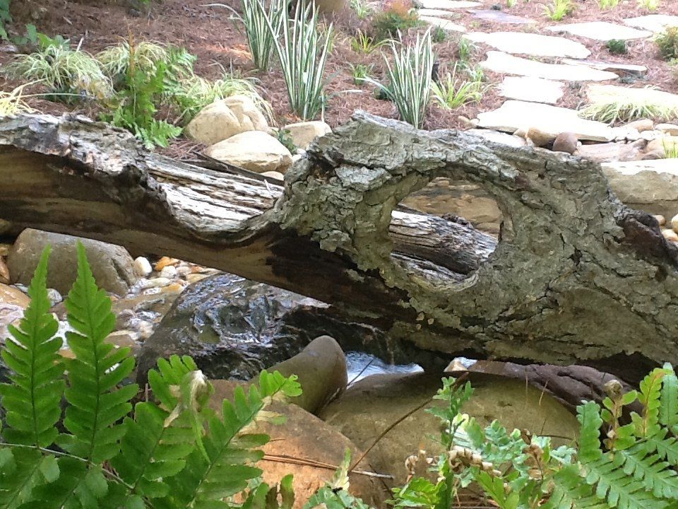 Water Features Medium