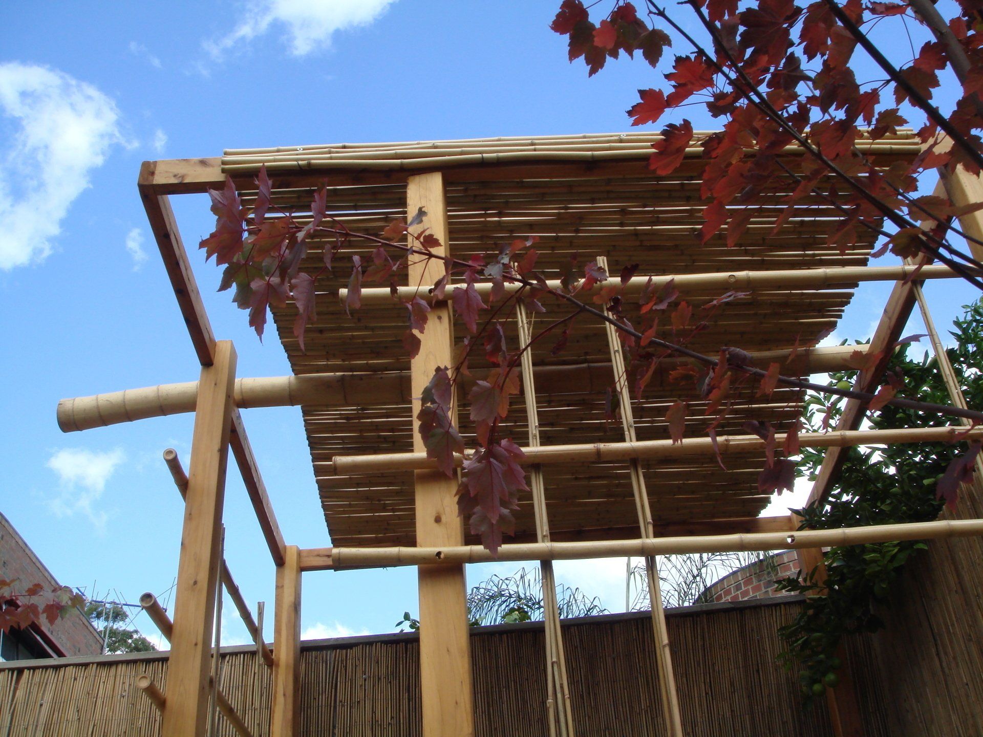 Oriental Front and Back Garden