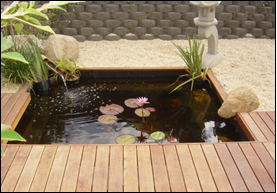 Japanese Back Garden