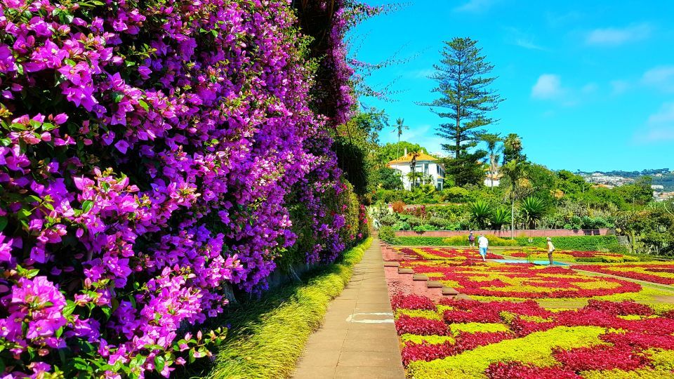 Botanical Garden Madeira Funchal