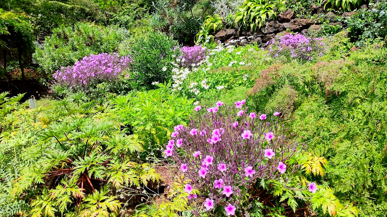 Botanical Garden Madeira Funchal