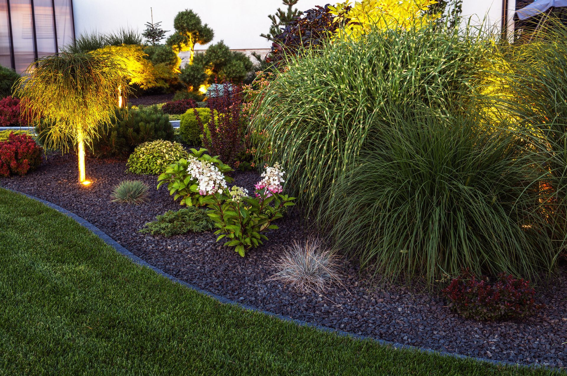 A garden with lots of plants and flowers is lit up at night.
