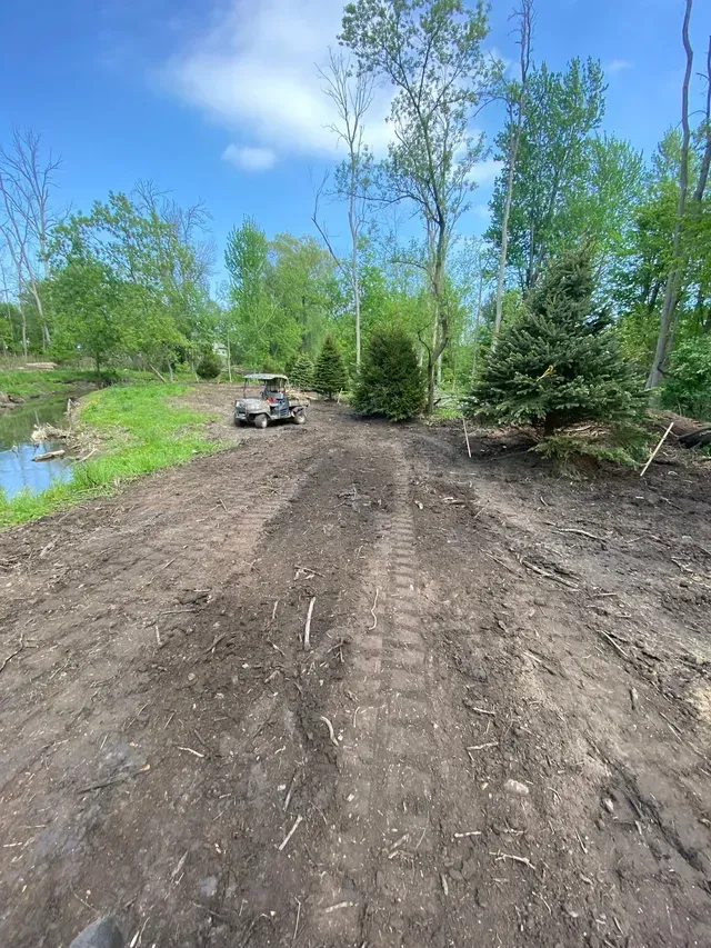 A golf cart is driving down a dirt road in the woods.