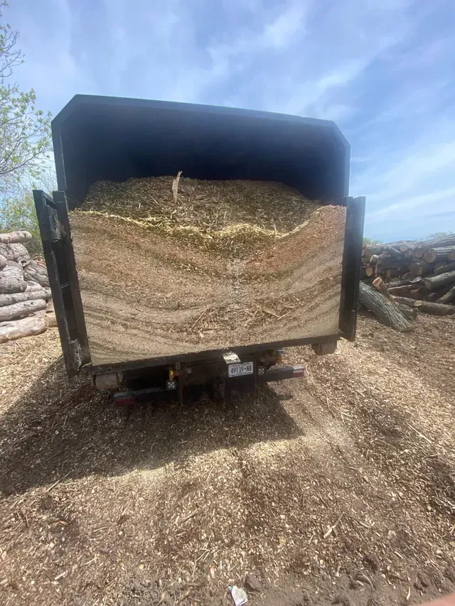 A dump truck filled with wood chips is parked in a field.