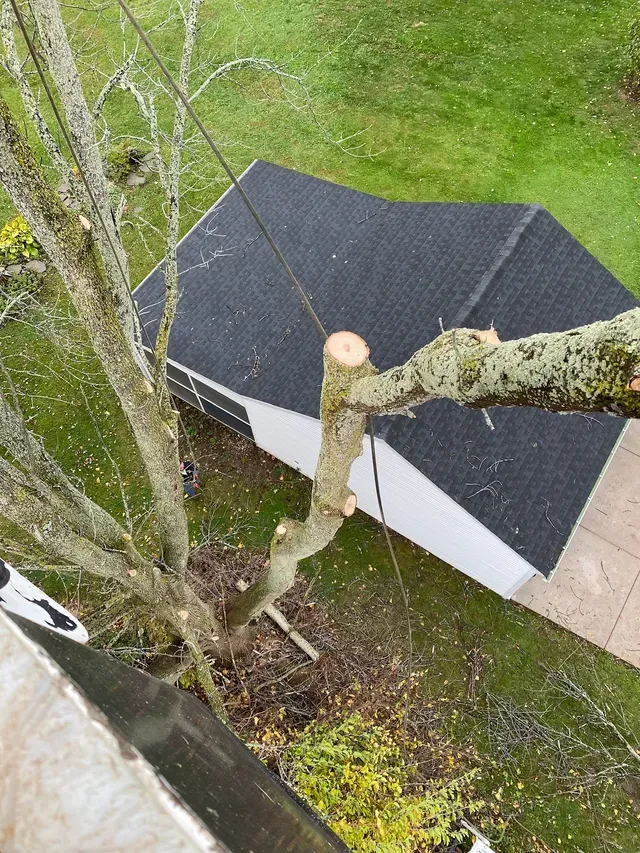 An aerial view of a tree being cut down in front of a house.
