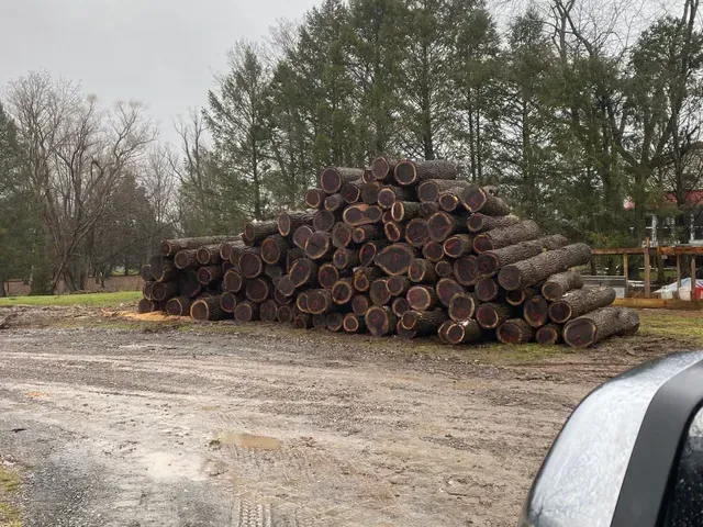 A pile of logs is sitting in the middle of a dirt field.