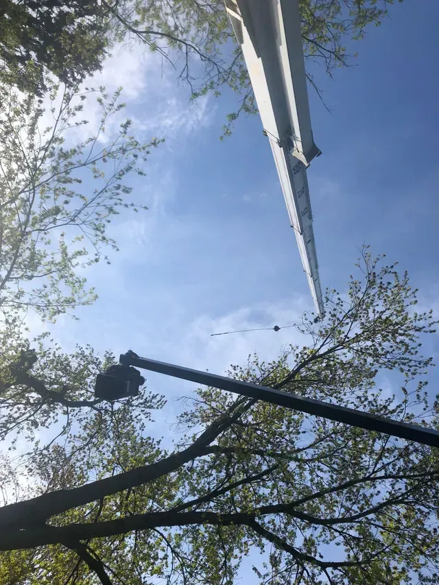 Looking up at a light pole with trees in the background