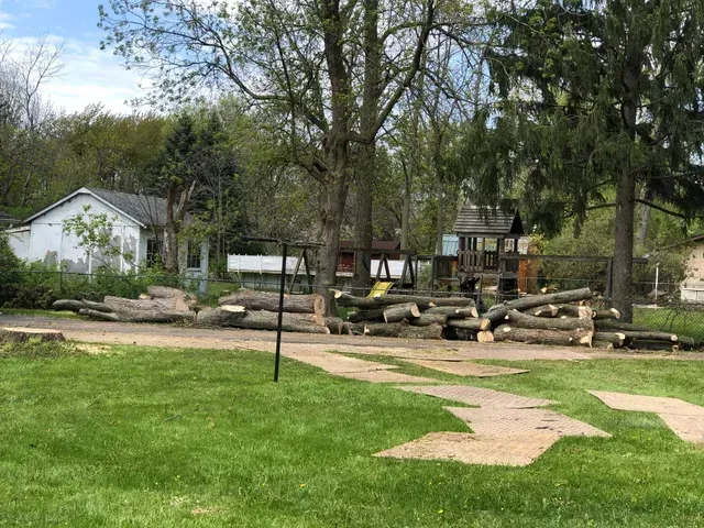 There are a lot of logs in the middle of the park.