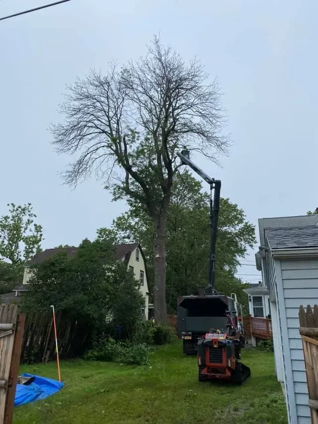A tree is being cut down by a machine in a backyard.