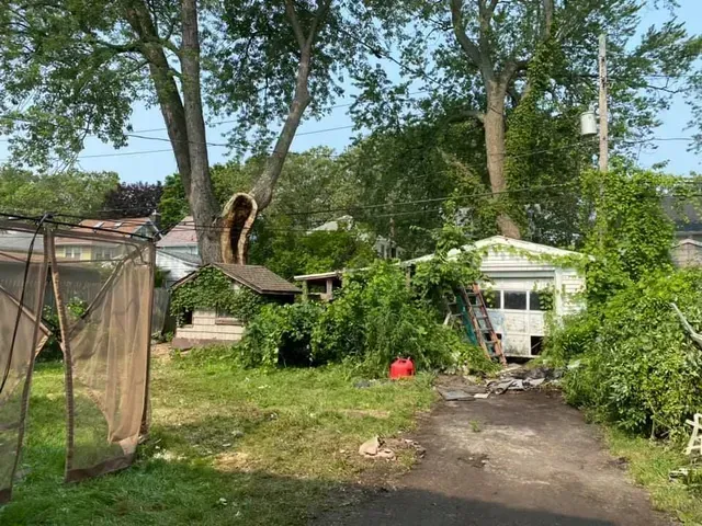 A dirt road leading to a house surrounded by trees and bushes.