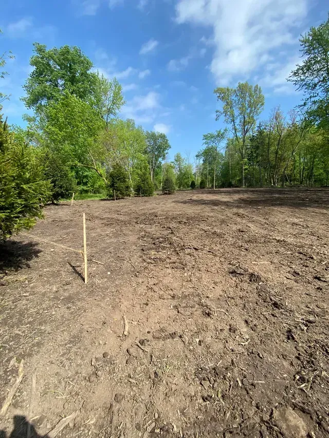 A dirt field with trees in the background and a wooden pole in the middle.