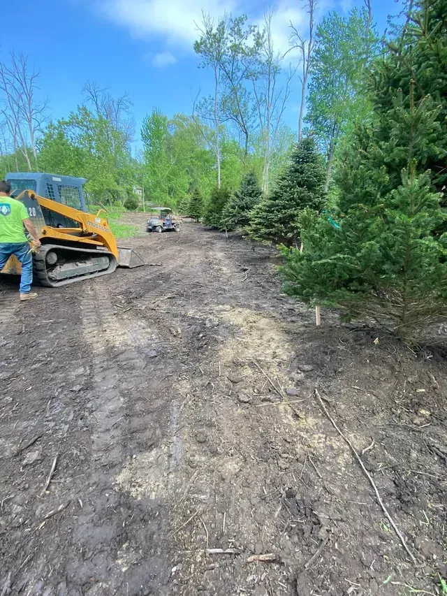 A man is standing next to a bulldozer on a dirt road.