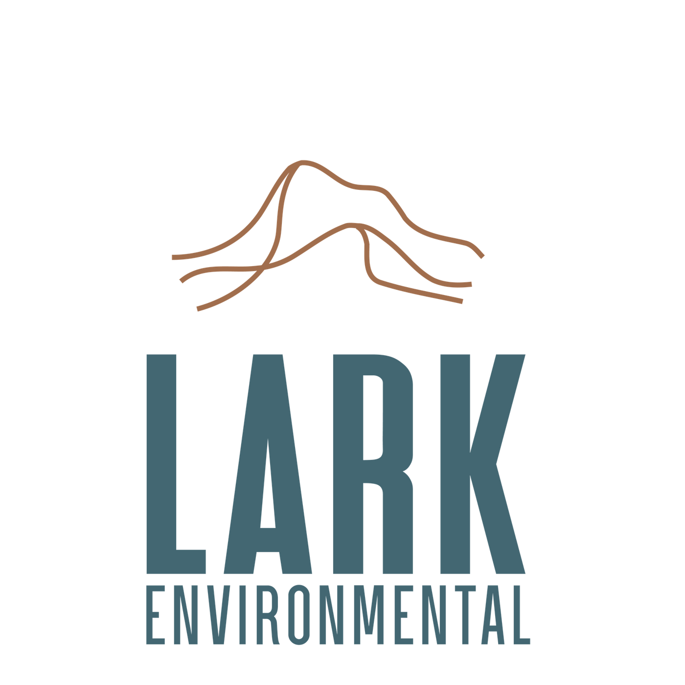 A logo for lark environmental with a mountain in the background.