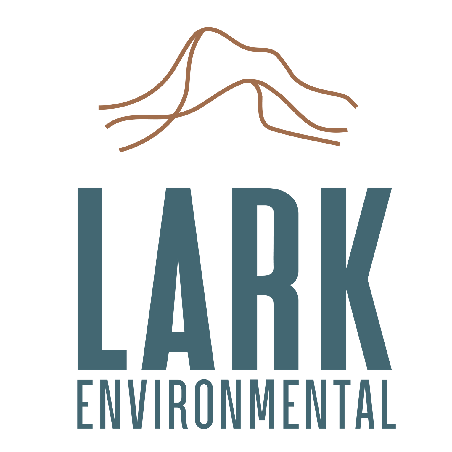 A logo for lark environmental with a mountain in the background