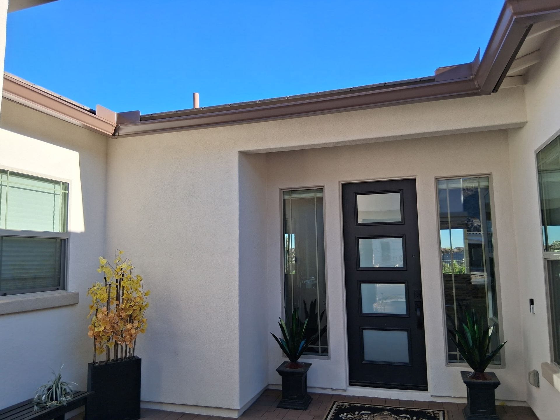 An entryway with a dark, four-panel glass door flanked by narrow sidelights, two potted plants, and light stucco walls.