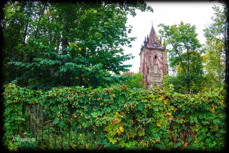 Павильон Шапель