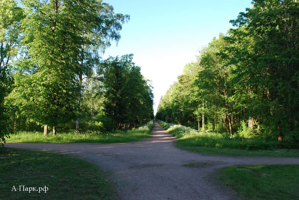 Баболовский парк фото