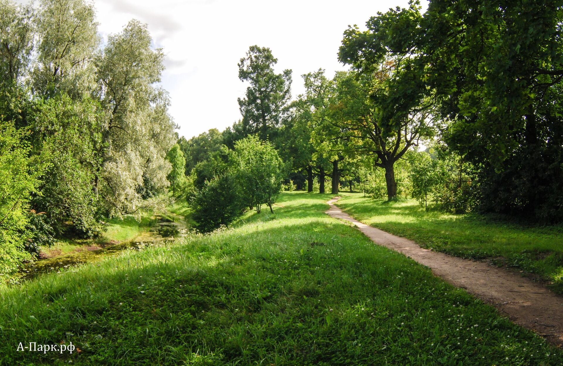 Насаждения у Фёдоровского городка до вырубки