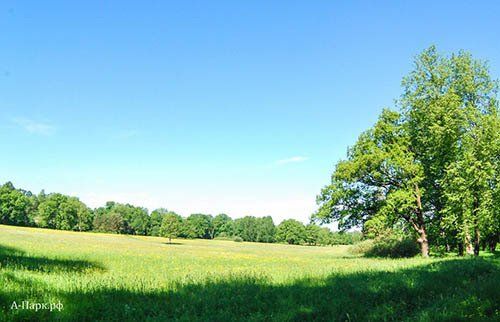 Lower Park. View towards Pavlovskoye Highway - open in new window