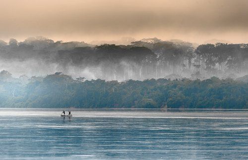 Infected chimpanzee hunter’s cut starts HIV pandemic. Infected carriers canoe down Sangha to Congo River to Kinshasa DRC.