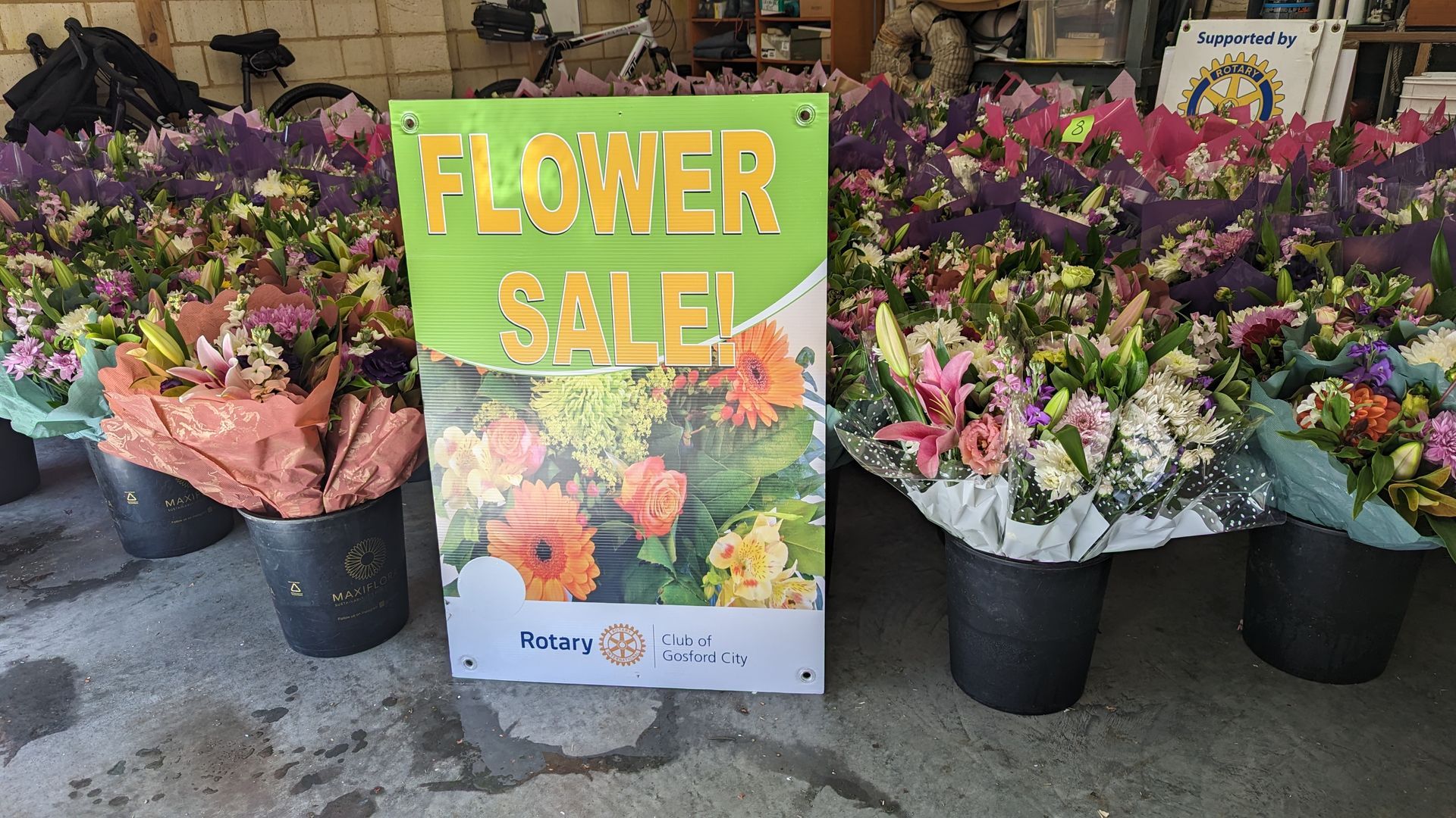 A bunch of potted flowers with a sign that says flower sale