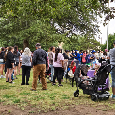 People gathered on a grassy park lawn near trees, with a stroller in the foreground.