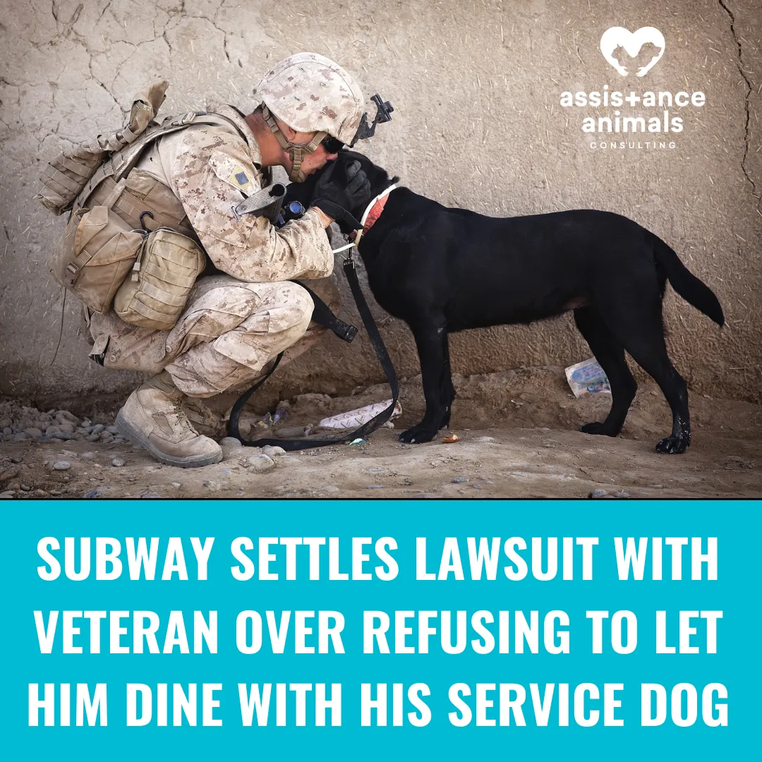 A Northern Kentucky Subway Settles Lawsuit with Veteran Over Refusing to Permit His Service Dog In