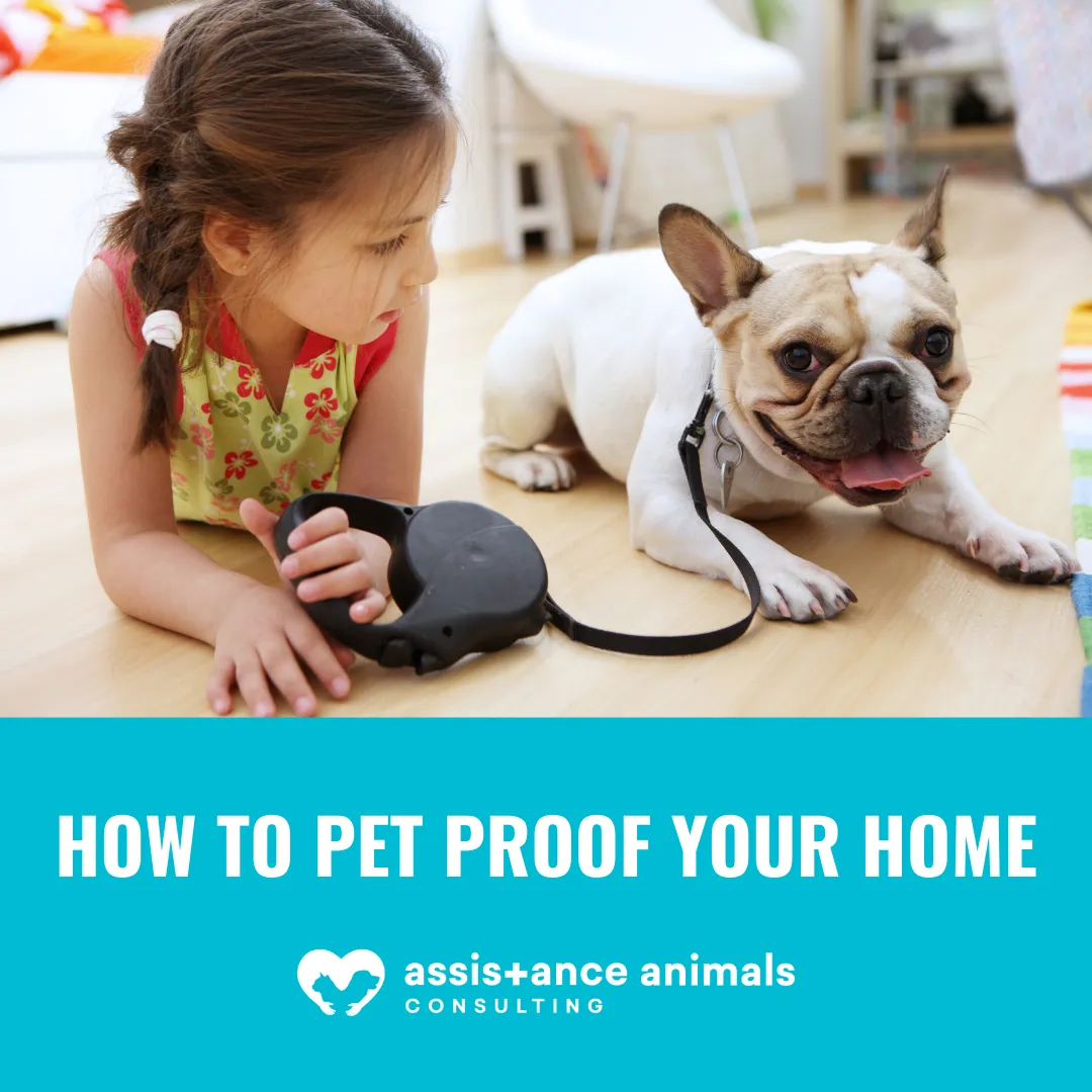 Tips to Pet Proof Your Home