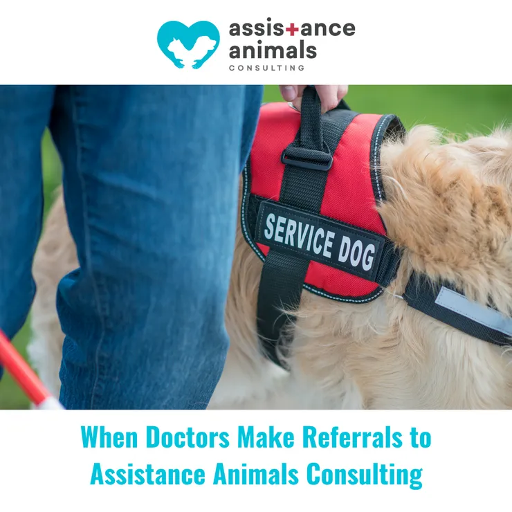 When Doctors Make Referrals to Assistance Animals Consulting