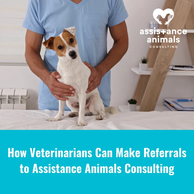 How Veterinarians Can Make Referrals to Assistance Animals Consulting