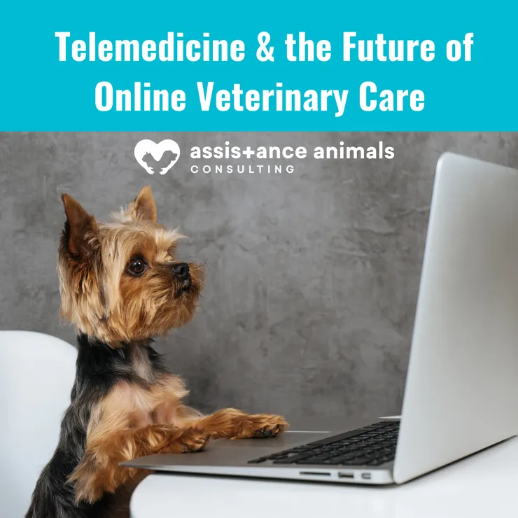 Telemedicine & the Future of Online Veterinary Care