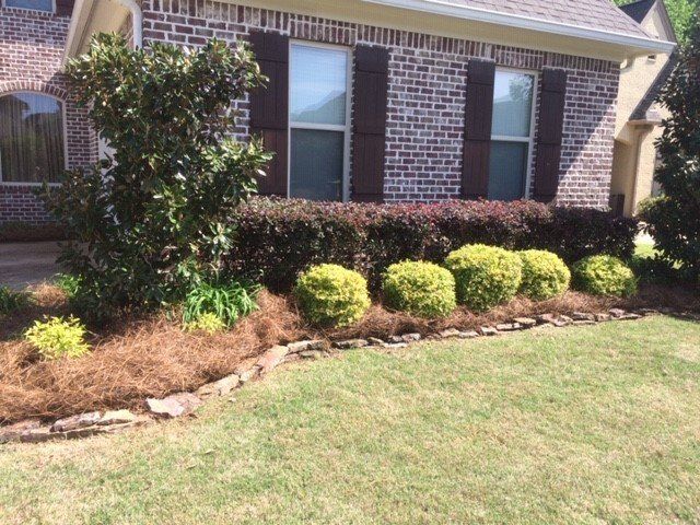 Lawn Maintenance — Front Landscaping View in Oxford, MS